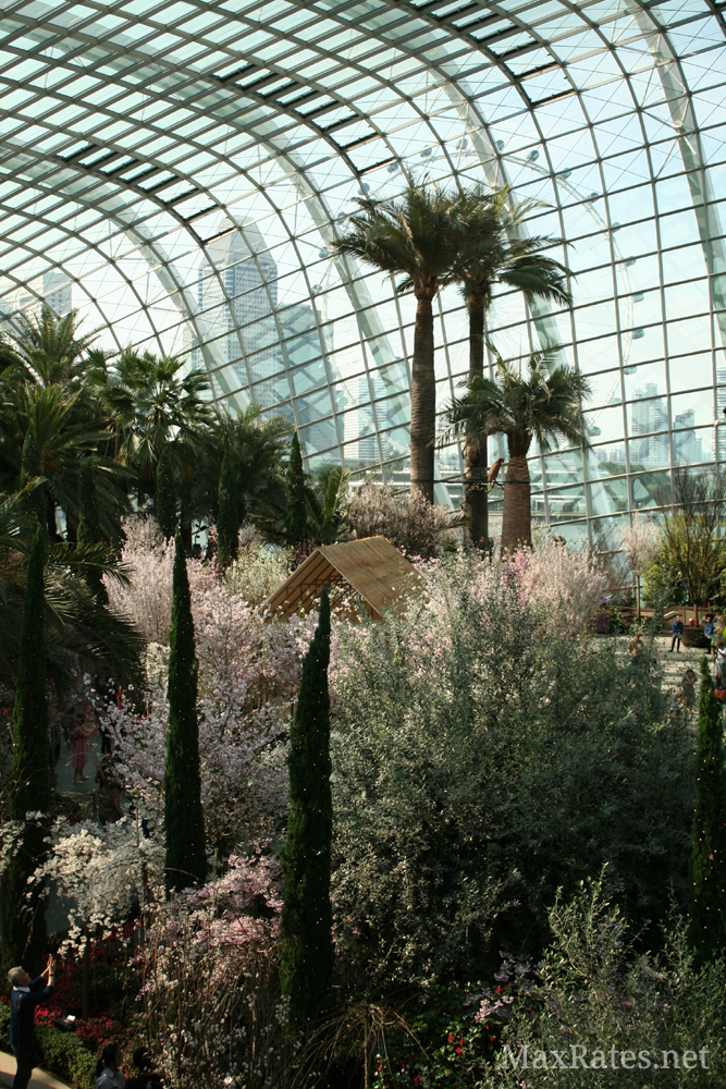 A view of the 1st floor display of Gardens by the Bay's Sakura Matsuri Floral Display 2019.